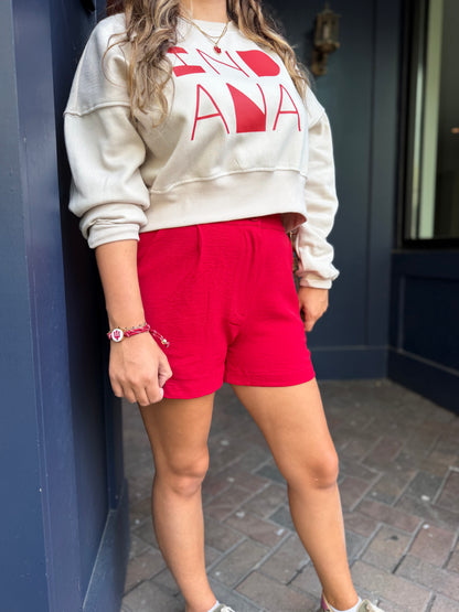2 COLORS High Waisted Airflow Shorts