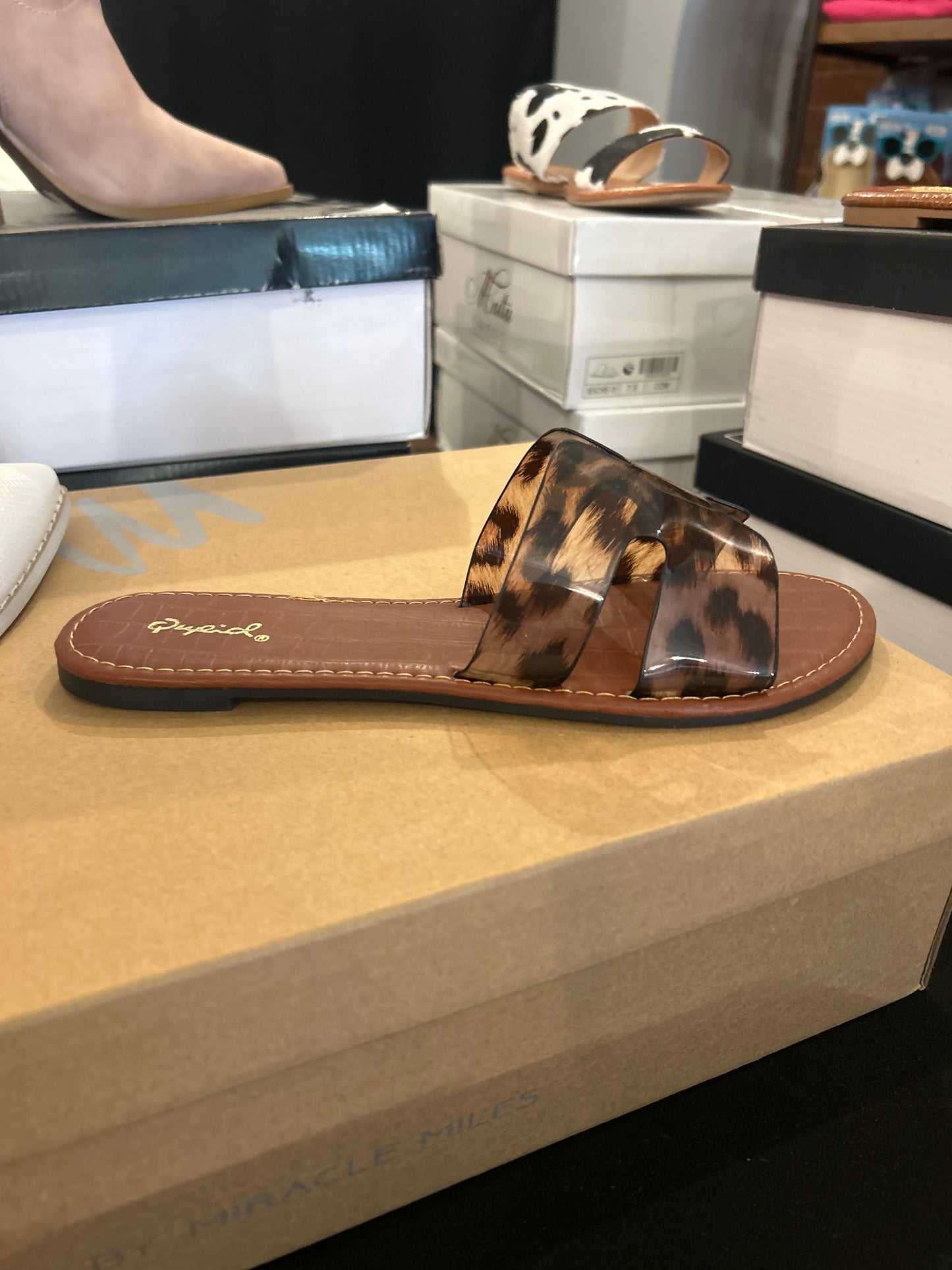 Tortoise slides