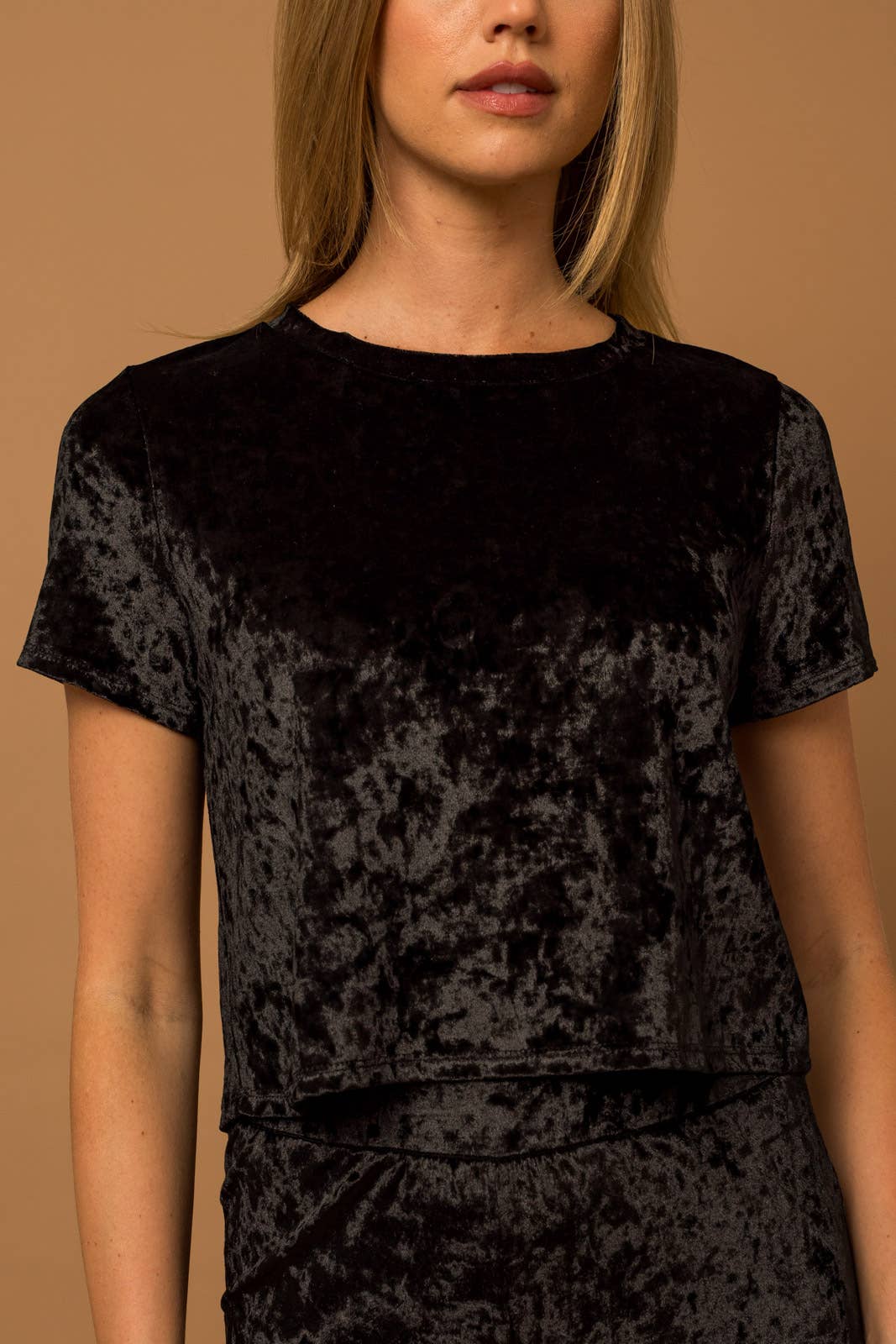 SHORT SLEEVE CREW NECK VELVET TOP